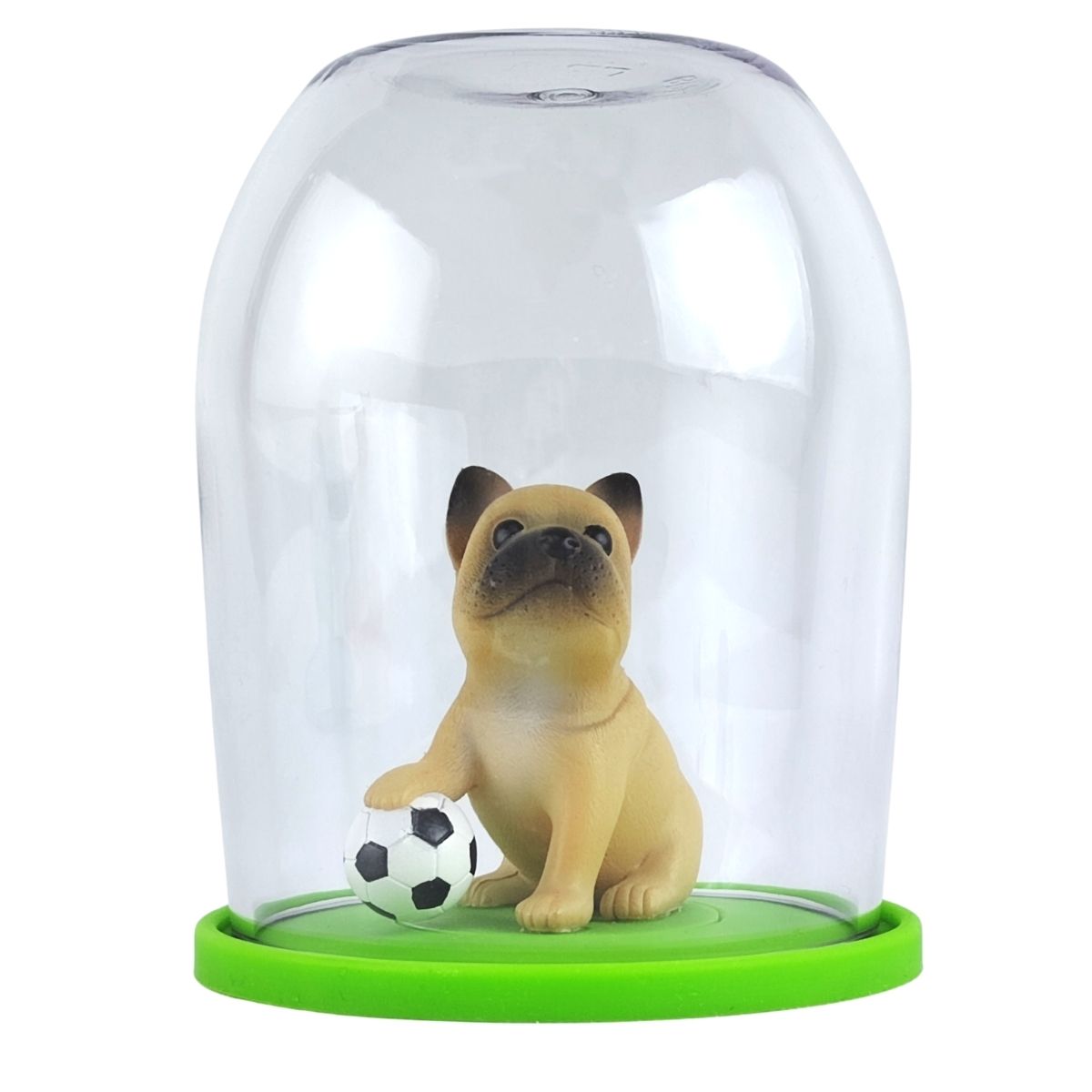 French Bulldog - MAGIC GLOBE